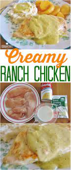 Creamy Ranch Chicken Recipe From The Country Cook Only 4 Ingredients Creamy Ranch Chicken Recipe Ranch Chicken Recipes Recipes