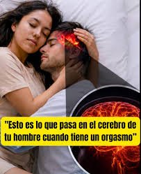 Esto es lo que le sucede a tu organismo cuando deja la actividad 1intim@.