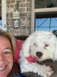 Appreciation for the loyalty and love of this dog breed