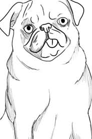 Easy To Draw Pug That I Drew Cute Drawings Dog Art Drawings