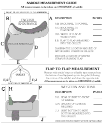 Measuring Saddles Level 3 Horse Information Saddles