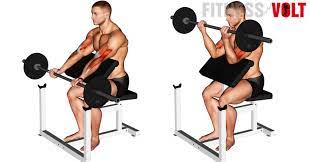 Preacher curls are not a lot different from normal bicep curls, except that the only downside for a preacher curl is that it requires a preacher bench to perform the exercise. Barbell Preacher Curl How To Tips Variations And Video Guide