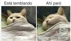 Sounds perfect wahhhh, i don't wanna. Invoca Al Cristo De Mayo Los Memes Que Dejo El Sismo Que Se Percibio En Chile Y Argentina