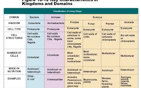 bacteria classification sada margarethaydon com