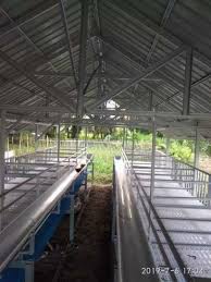 We did not find results for: Kandang Kambing Modern Kandang Kambing Murah Kandang Kambing Qurban Hewan Peliharaan 787871172
