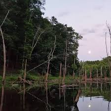Find out more about north bend state park lodge in sandhill (west virginia), usa. North Bend State Park Foundation Home Facebook