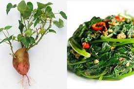 We did not find results for: 5 Resep Sehat Mencegah Penyakit Jantung Dengan Daun Ubi Jalar Semua Halaman Grid Health