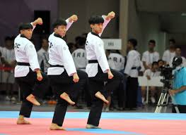 Poomsae Taekwondo To Make Pan American Games Debut At Lima 2019