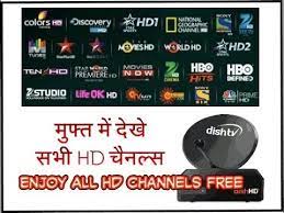 Use our online guide to find your favorite programs. How To Watch Hd Channels Free In Dish Tv To Get Idea Pls Watch Full Video Youtube
