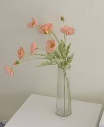 #aesthetic #закат #pink #flowers #glass #homedefleur #hdf #бокал #sunset #. Flowersì ìë Urania Qiuëì í ìë¦ë¤ì´ ê½ë°­ ì ì í ê½ ê½ ëìì¸