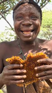 Hadzabe Tribe bushmen Chabba favorite traditional food is natural sweet  honey he finds in the nature