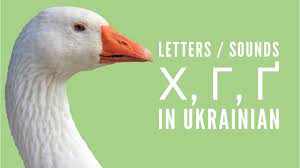 The shelves are made of recycled metal and last forever. Letters Sounds H G G In Ukrainian Ukrainian Lessons