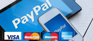 We are having an issue with paypal that started about about an hour ago. Small Business App Demo E Shop Services