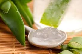 Site Not Configured 404 Not Found Dry Skin Remedies Aloe Vera Aloe Vera Benefits