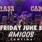 Brass Camel w/ guests