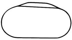 The piedmont travels between the vibrant commercial center of charlotte and the state capital of raleigh. Charlotte Motor Speedway Wikipedia La Enciclopedia Libre