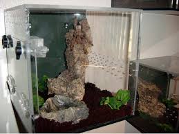 Pin On Paludarium Ideas