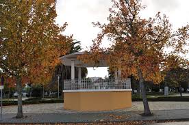 Ponte de sor, tramaga e vale de açor. Jardim Municipal De Ponte De Sor