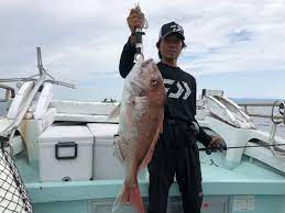 時合いかポイントか | 天草 タイラバ 鬼池出港｜鯛ラバ亀島丸