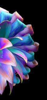 Flower Aesthetic Amoled Wallpaper Heroscreen Cool Wallpapers In 2021 Flower Aesthetic Screen Savers Wallpapers Wallpaper Iphone Summer