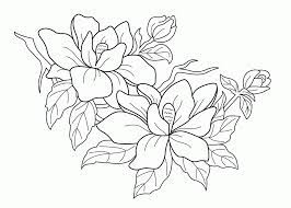 Today there are many flowers and ornamental plants that have charming colors. Free Printable Spring Flowers Coloring Pages Coloring Home