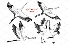 Birds Flying In The Sky Drawing For Kids Wild Birds In Flight Animals In Nature Or In The Sky Cranes Or Grus And Stork Or Shadoof And Ciconia With Wings Engraved Sketch Hand Drawn In Vintage Style Stork Cranes