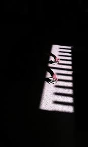 26 صورة مبدعة باستخدام الظلال فن صورة 18 shadow photography conceptual photography creative photography