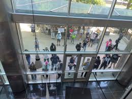 Assemblymember Maggy Krell | Lake Tahoe Clarity Report | In a Nutshell  Storytelling Series - capradio.org