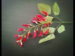How To Make Ceibo Flower From Crepe Paper Craft Tutorial Youtube Handmade Flowers Paper Paper Flower Kit Paper Flower Video