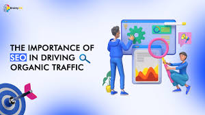 Best SEO Services Provider Company in Vadodara