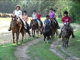 Reiten Fur Klein Und Gross In Schrozberg Leuzendorf Hohenlohe Baden Wurttemberg Urlaub Auf Dem Reiterhof Reiten Ferien