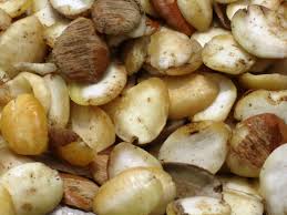 Image result for Klainedoxa