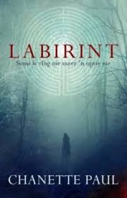 Voorblad Van Labirint N Spanningsroman Book Companion Ebook Books