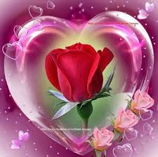 Another Love Message From My Man Today Love You Baby Xo Beautiful Rose Flowers Painting Kits Valentine Decorations