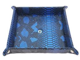 Image result for Eye Tray