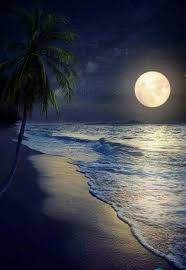 Would Love To Take A Romantic Moon Lit Walk On A Beach Like This Nature Photography Beautiful Moon Moon Photography
