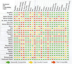 37 Described Discus Species Chart