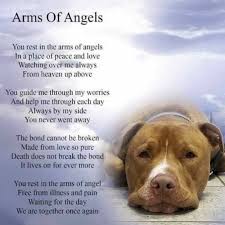 Pin On Dog Poems Pit Bull