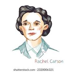 Rachel carson: Más de 5 ilustraciones y dibujos de stock con licencia  libres de regalías