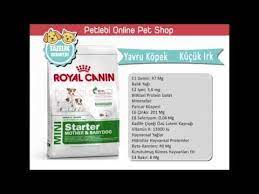 royal canin mini starter kucuk irk yavru kopek mamasi yavru kopek kopek youtube