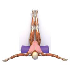 Viparita Karani Legs Up The Wall Pose Bandha Yoga Scientific Keys To Unlock The Practice Of Yoga Facebook