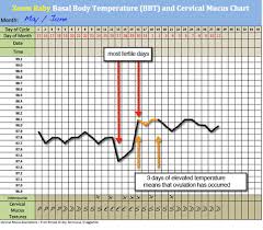 Basal Thermometer And Free Bbt Chart