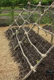 My Son Can Use All That Lashing Stuff He Learned In Royal Rangers Garten Garten Hochbeet Garten Pflanzen