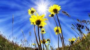 O spune la rfi climatologul roxana bojariu, de la anm. Cum Va Fi Vremea In Luna August 2018 Prognoza Meteo Pentru Intervalul UrmÄƒtor PublicatÄƒ De Anm Ziarul Unirea