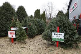 Maybe you would like to learn more about one of these? Christmas Tree Farmers Quitting The Business Across The U S Chicago Tribune