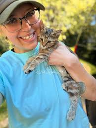 Great example of ear tipped kitty missing. So many think they are feral or  street cats but so many have homes. I know one rescue right now that has 4,  but I've