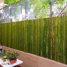 10 Ideas Of Bamboo Fences Bamboo Fences Ideas Giardino Di Bambu Bambu Recinzioni Da Giardino