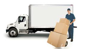 Choosing Professional Removalist- What You Should Know - True Information Today