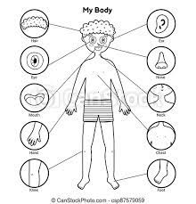 50 beautiful blank coloring pages coloring pages ideas. My Body Parts Black And White Educational Poster With A Boy Learning Human Body For School And Preschool Kids Coloring Page Canstock