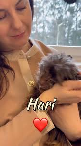 POMÓŻ! https://pomagam.pl/ratujbogusia Bestia ludzka wnyki i krytyczny  stan. Cierpienie nie ma skali to dramat 🙏Boguś błaga o serce 1,5% podatku:  KRS 0000313847 📲 BLIK: 733 300 285 Uratuj Zwierzęta 🙏:  https://fundacja-ada.org.pl/chce-pomoc/#wplata 💚